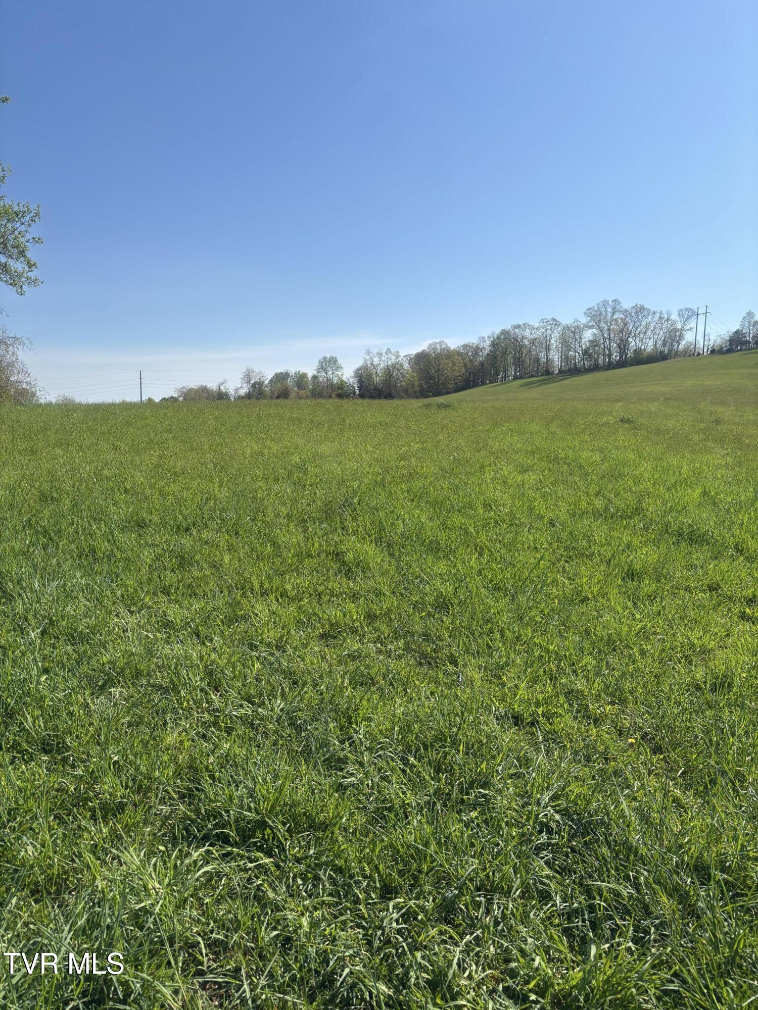 100 Hilbert Circle, Jonesborough, Tennessee image 16