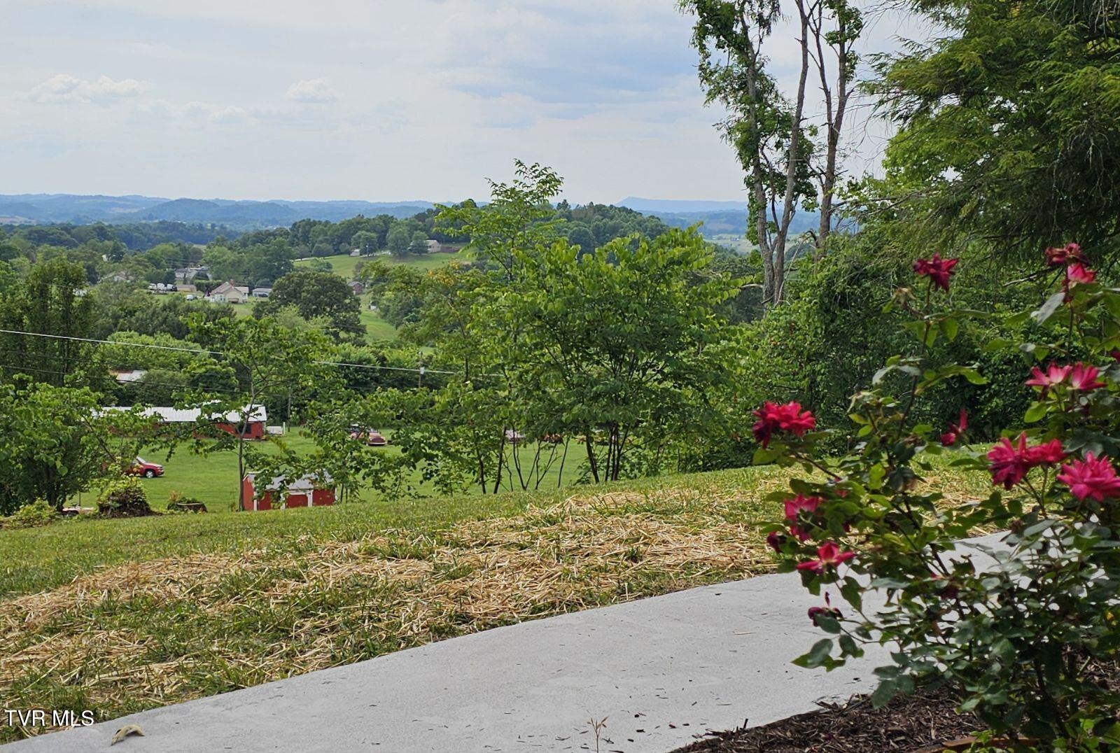 368 New Hope Road, Jonesborough, Tennessee image 48