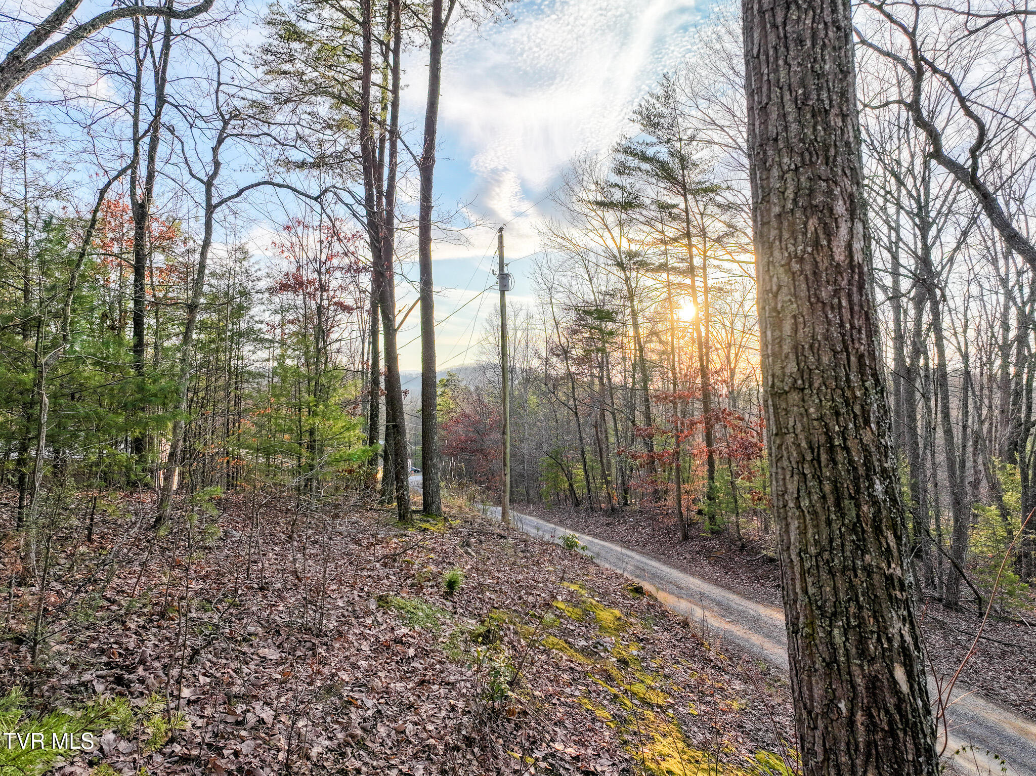 Tbd Black Oak Dr, Sevierville, Tennessee image 9