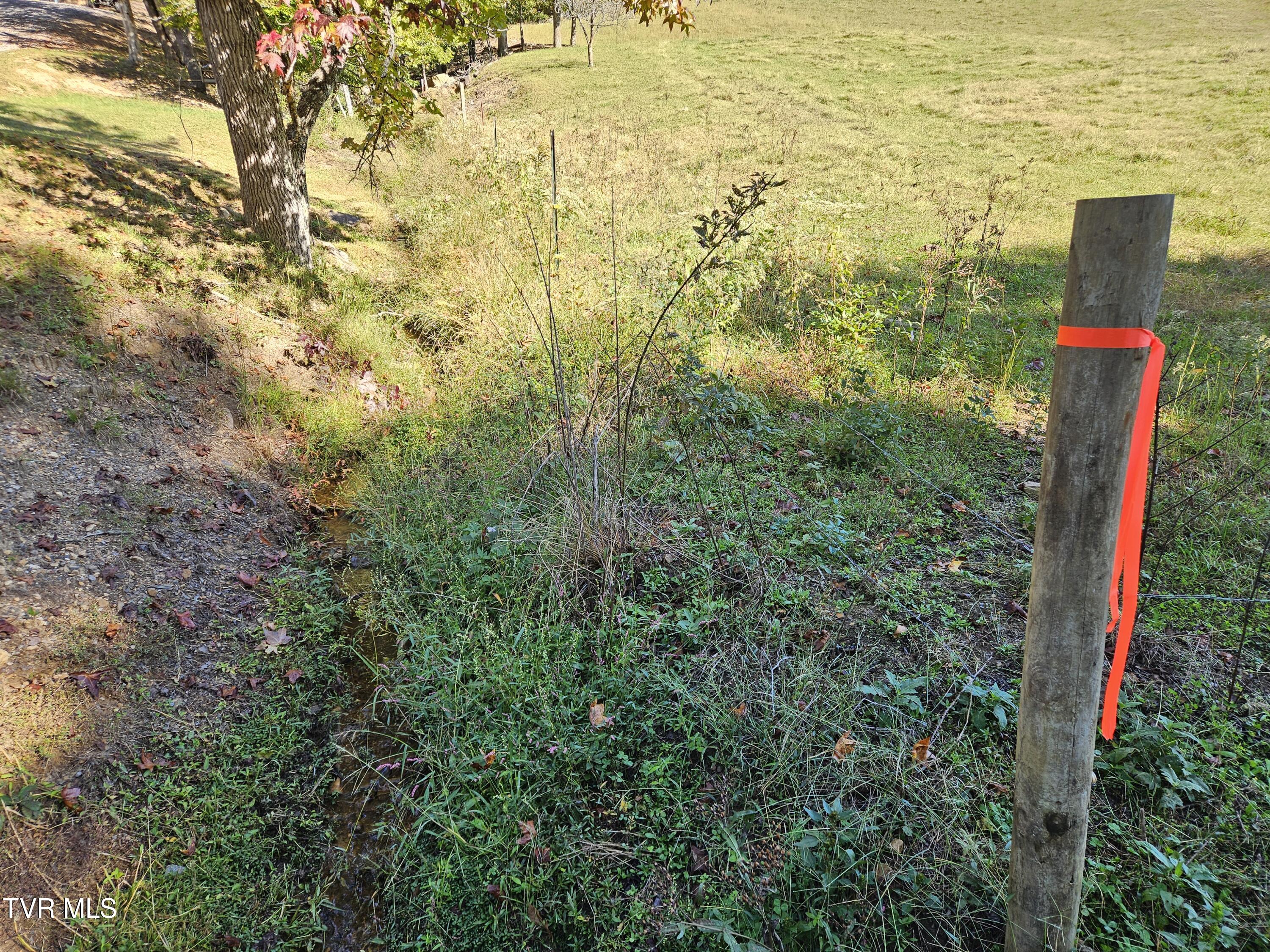 580 Heck Branch Road, Rogersville, Tennessee image 14