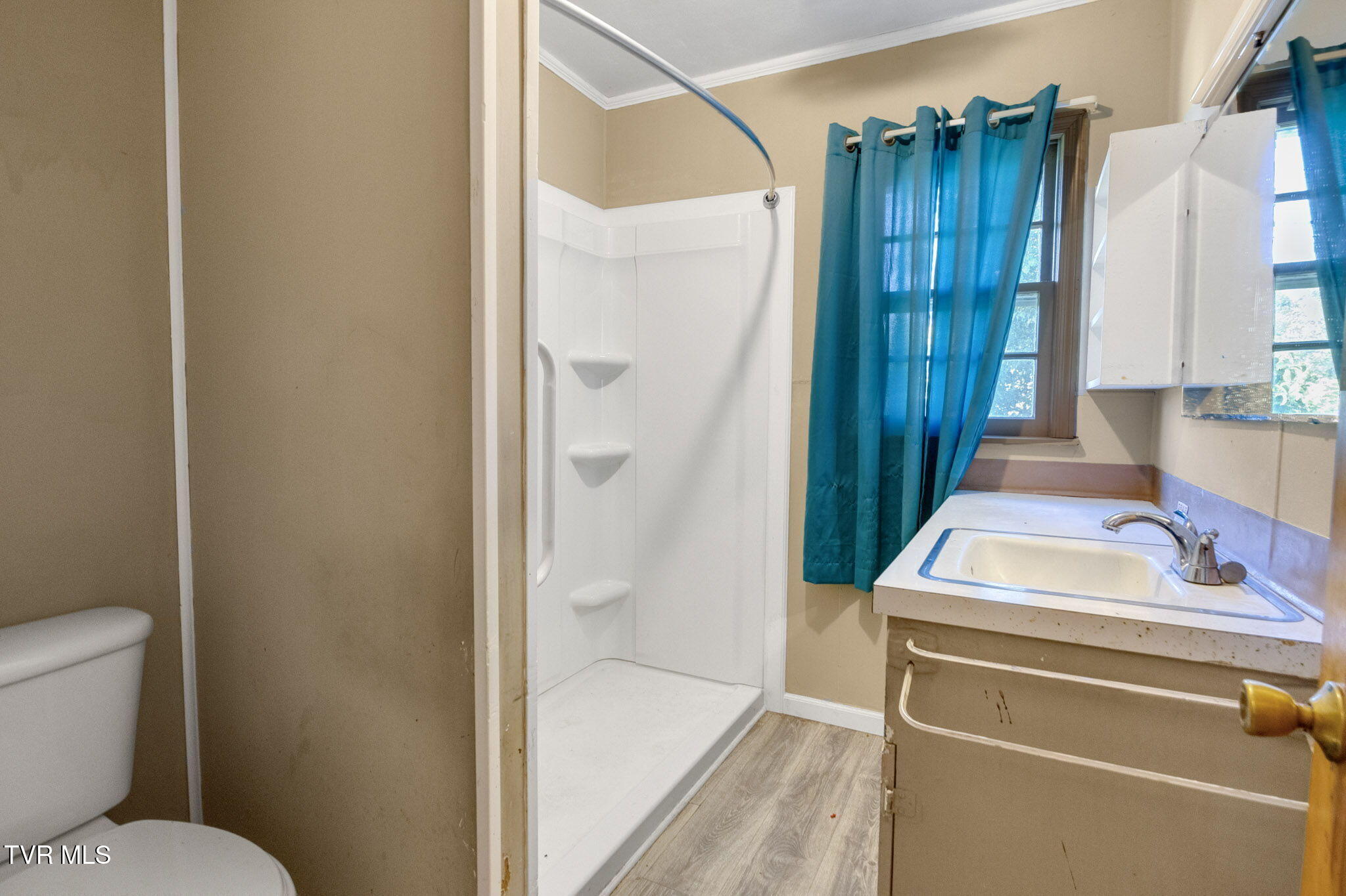 295 Unaka Drive, Mosheim, Tennessee image 14