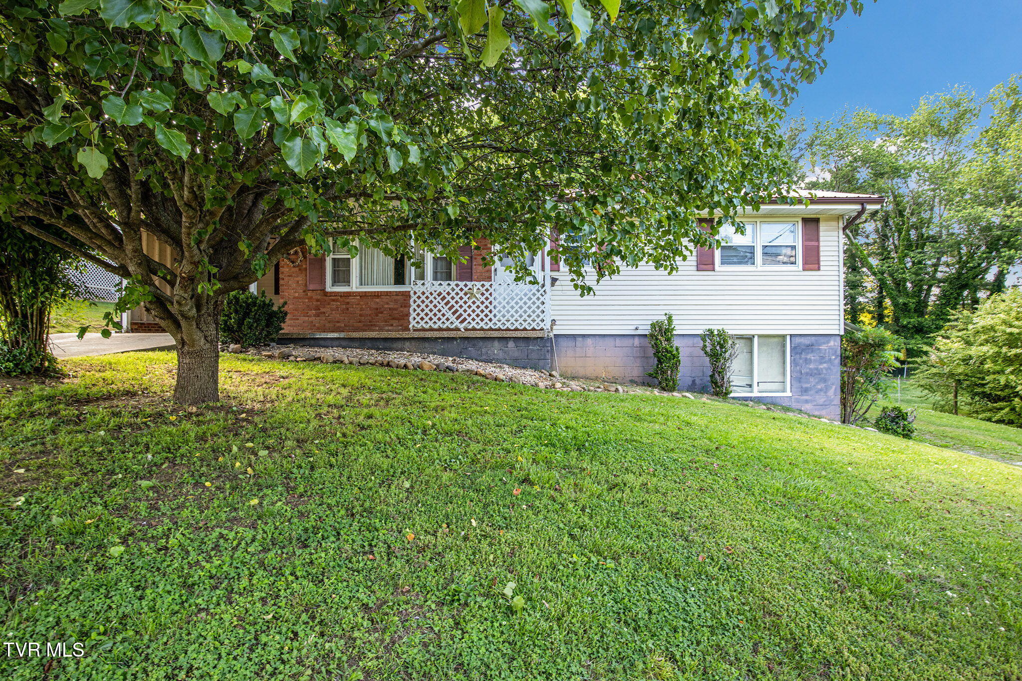 295 Unaka Drive, Mosheim, Tennessee image 2