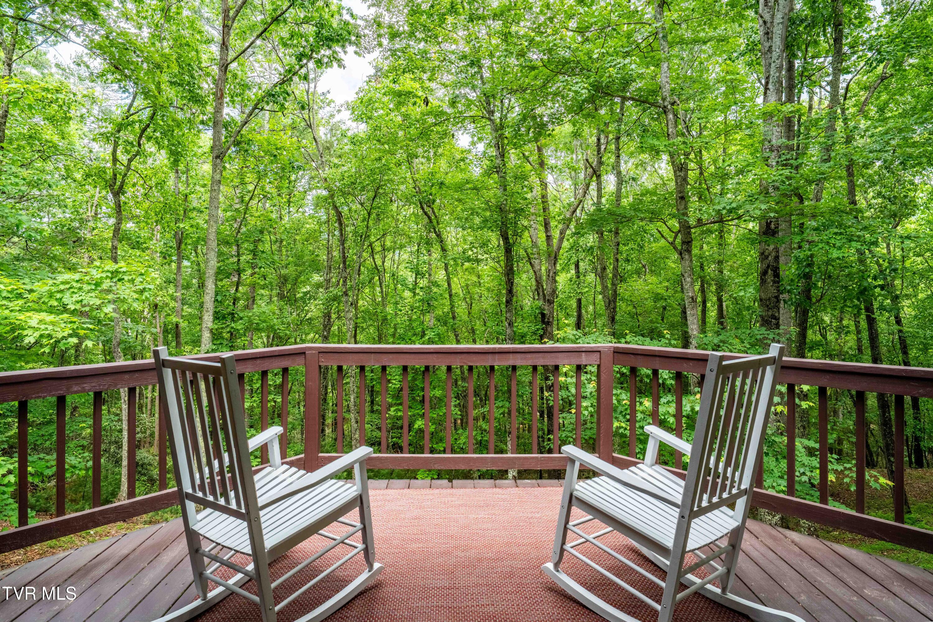 198 Gunbarrel Lane, Butler, Tennessee image 13