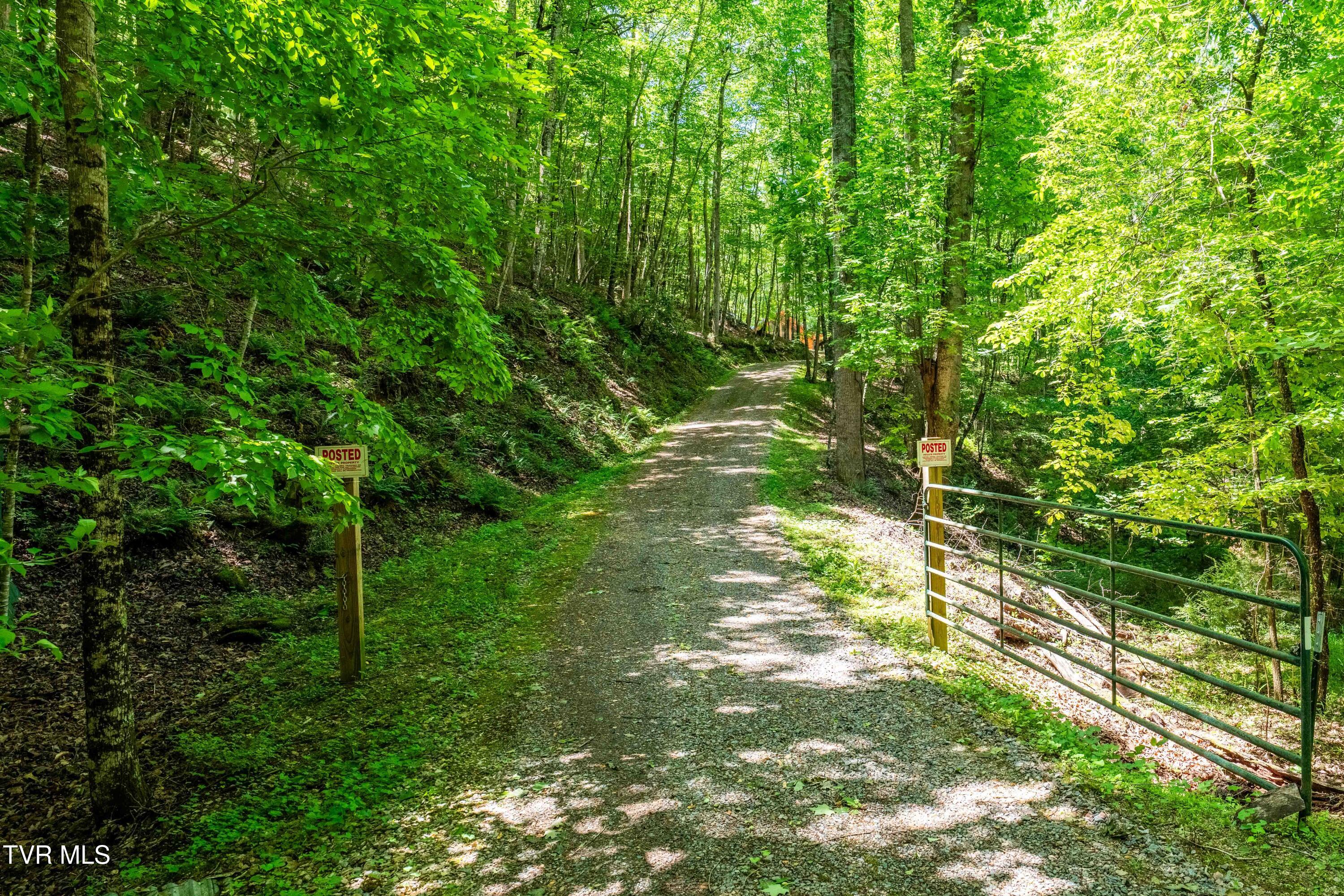 198 Gunbarrel Lane, Butler, Tennessee image 47