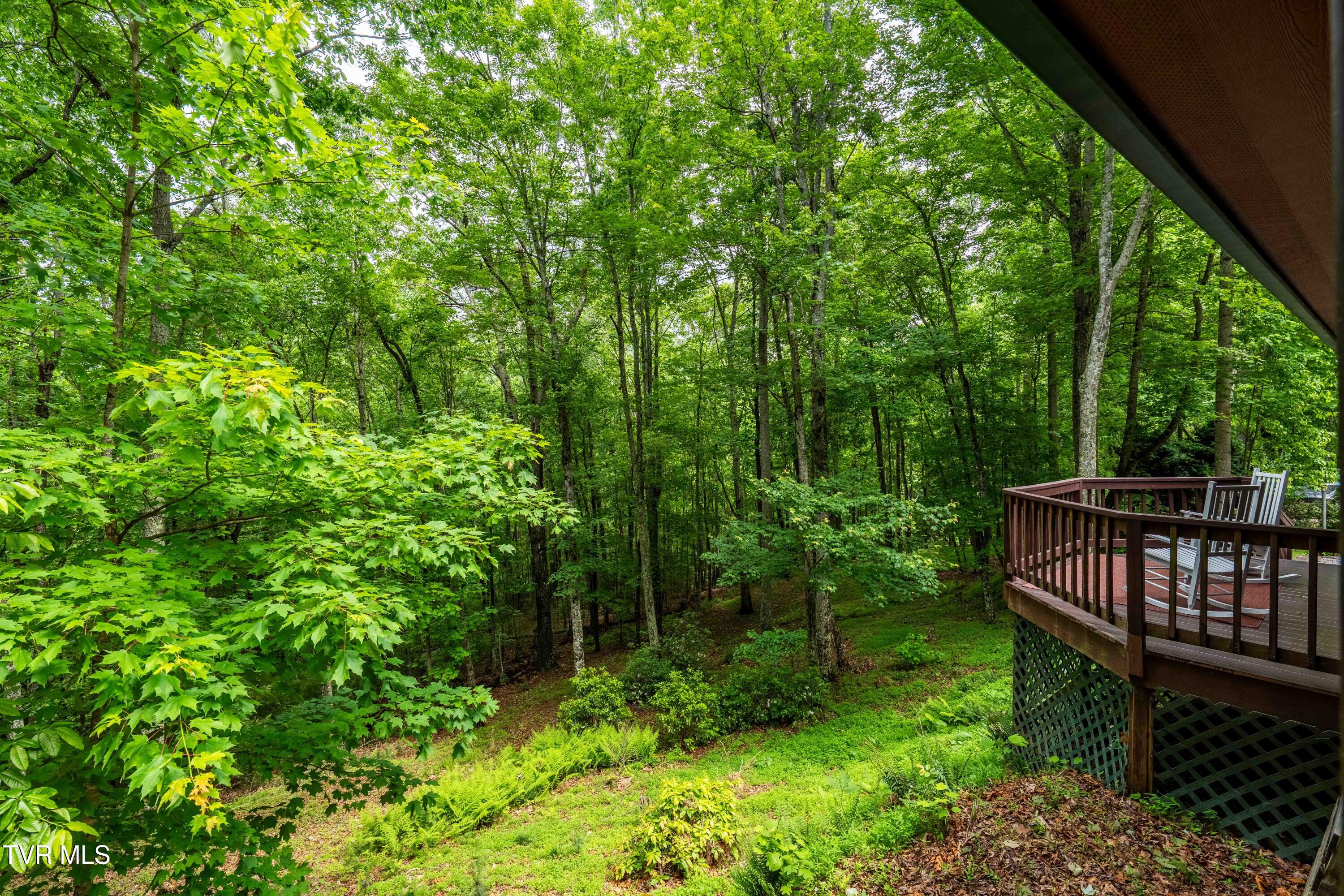 198 Gunbarrel Lane, Butler, Tennessee image 45