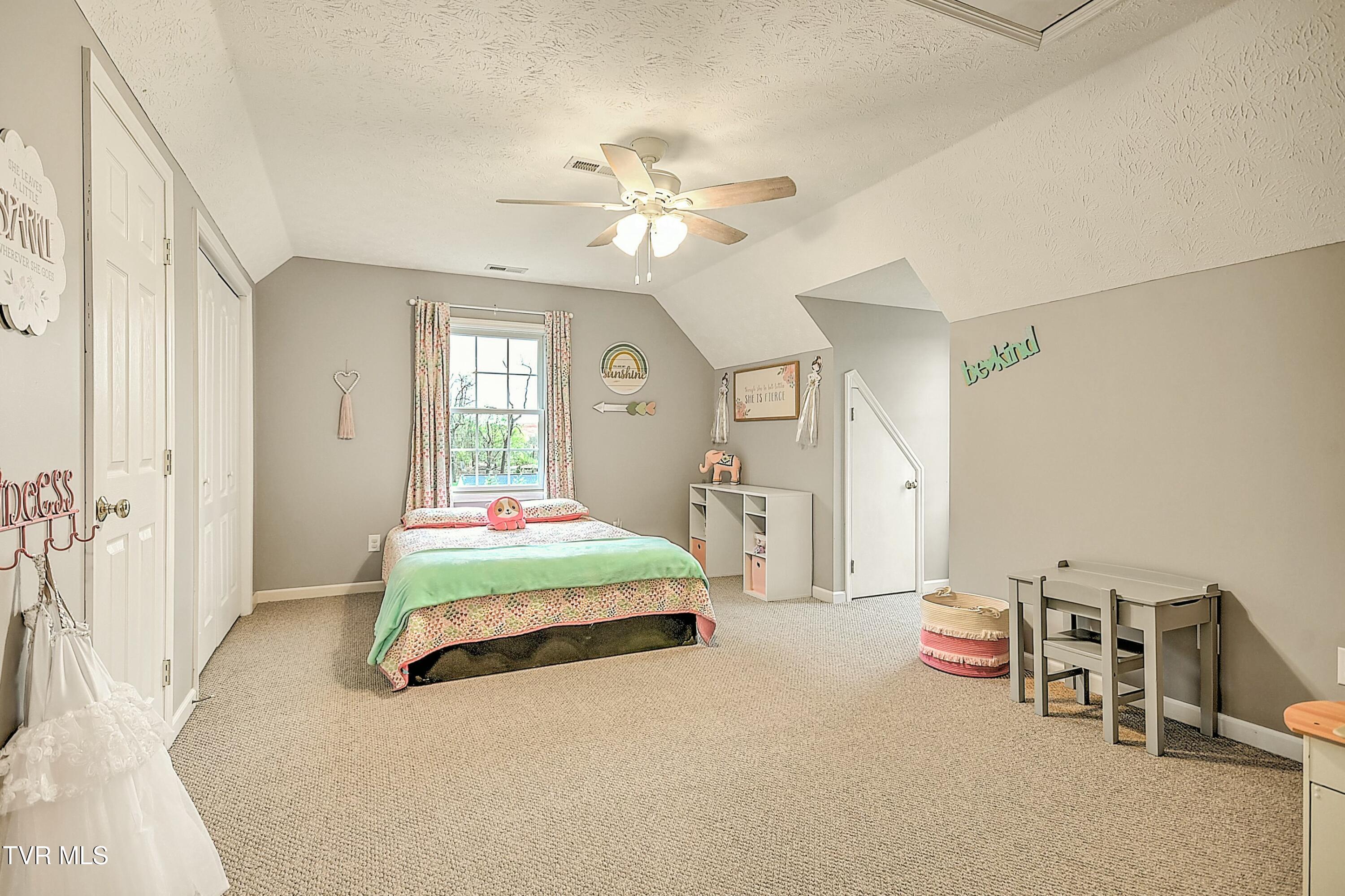 120 Sunnyfield Drive Drive, Blountville, Tennessee image 31