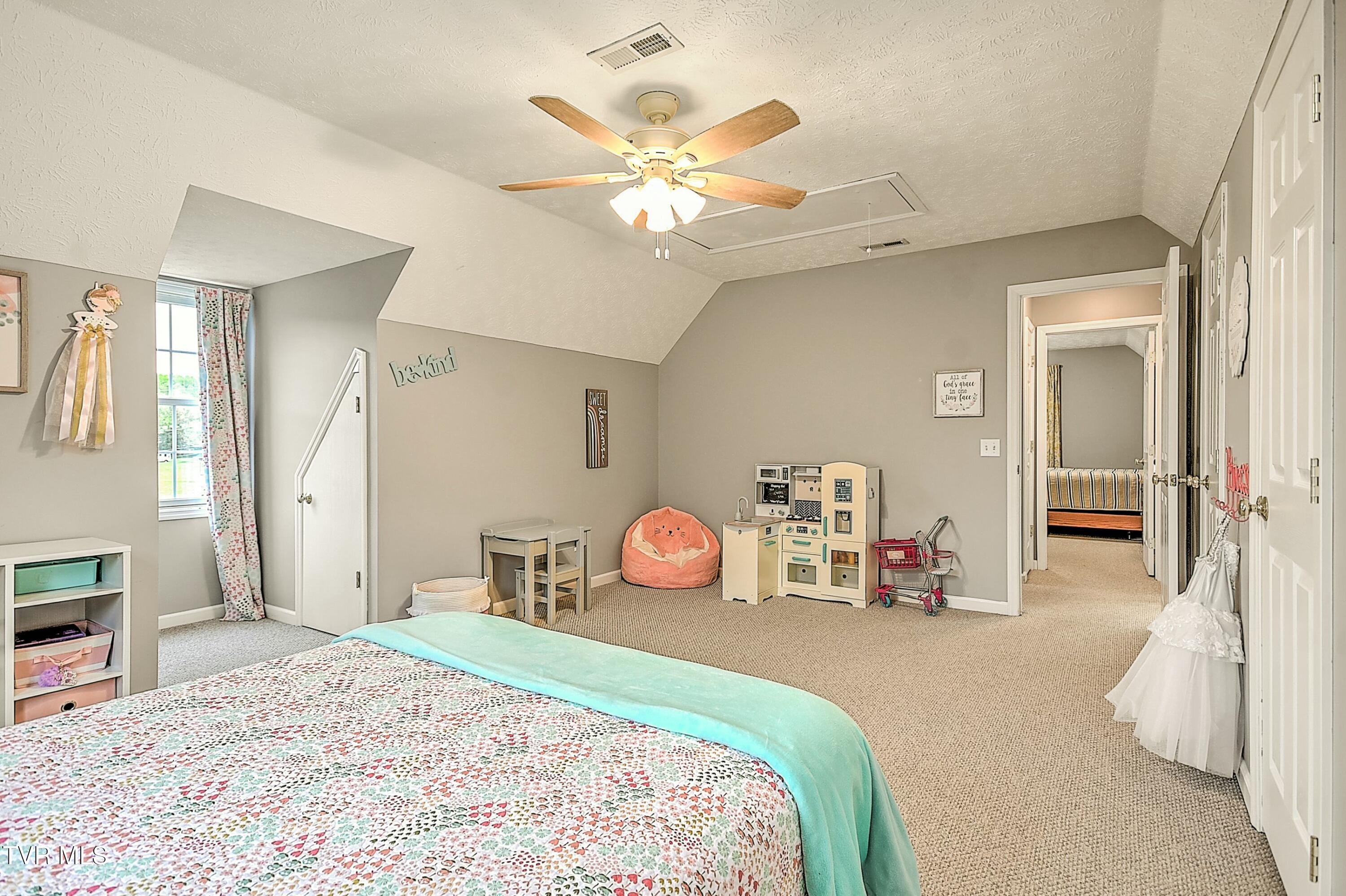 120 Sunnyfield Drive Drive, Blountville, Tennessee image 33