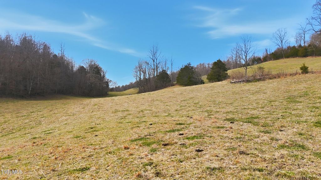 Photo of Tba Kingdom Rd, Duffield, VA 24244 (MLS # 9990268)