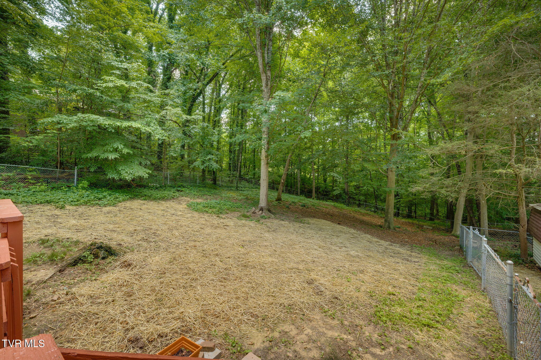 3 Monteray Court, Johnson City, Tennessee image 29
