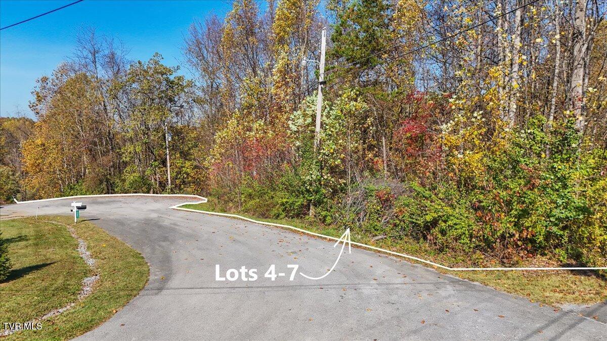 Lots 4567 Emerald Hills Drive, Elizabethton, Tennessee image 5