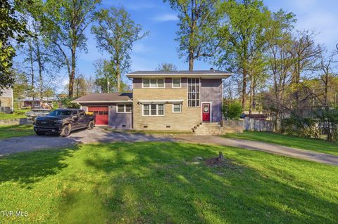 Photo of 209 Haynes Boulevard, Greeneville, TN 37745 (MLS # 9993744)