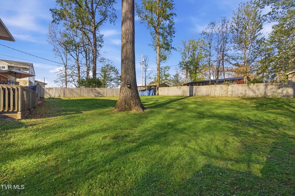 Photo of 209 Haynes Boulevard, Greeneville, TN 37745 (MLS # 9993744)