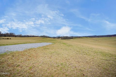 Vacant Land For Sale - TBD Ducktown Road<br/> Limestone, TN 37681