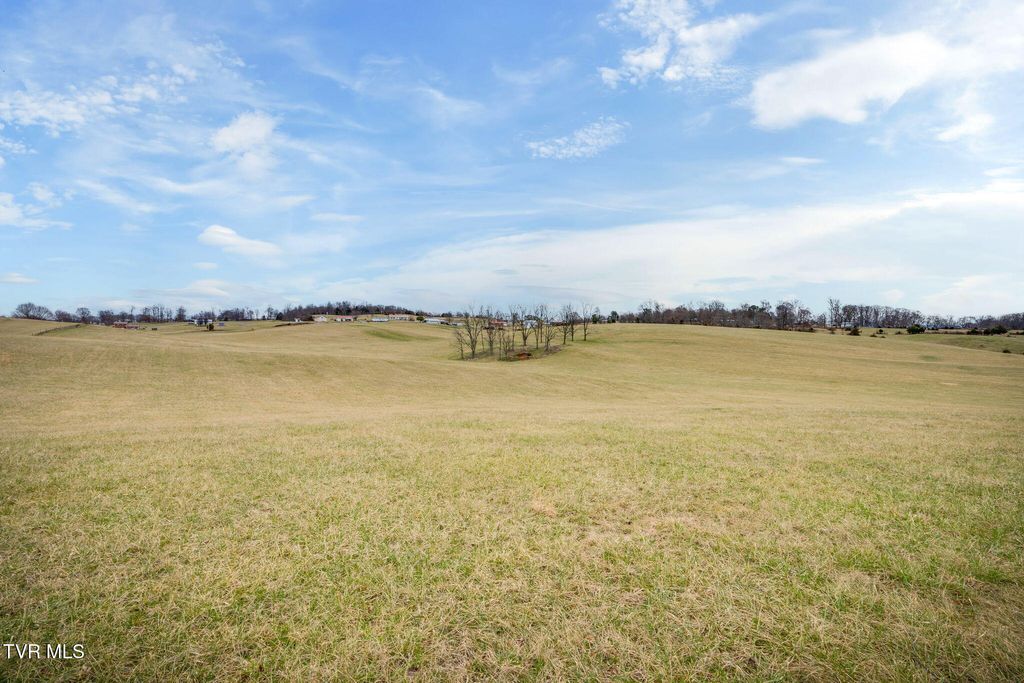 Photo of Tbd Ducktown Road, Limestone, TN 37681 (MLS # 9987694)