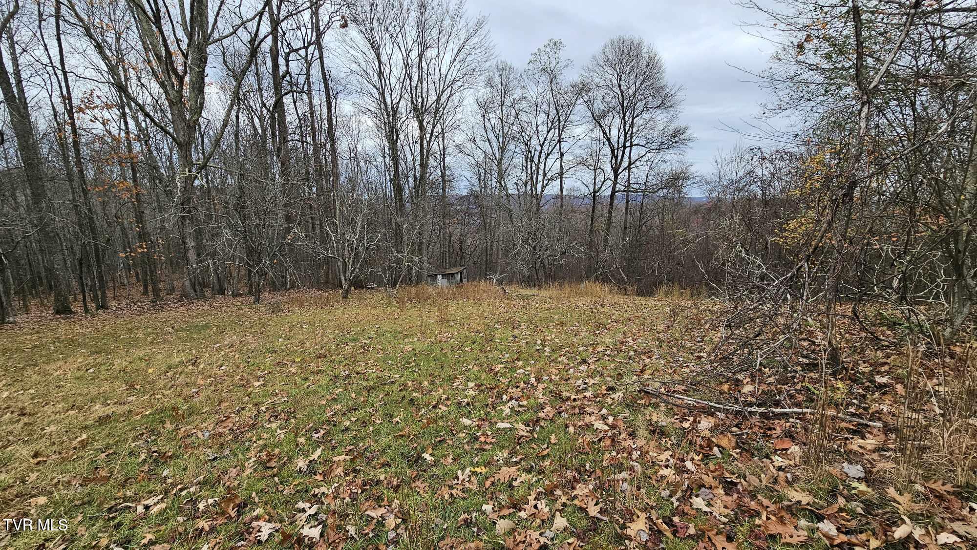 3539 Stone Mountain Road, Coeburn, Virginia image 8