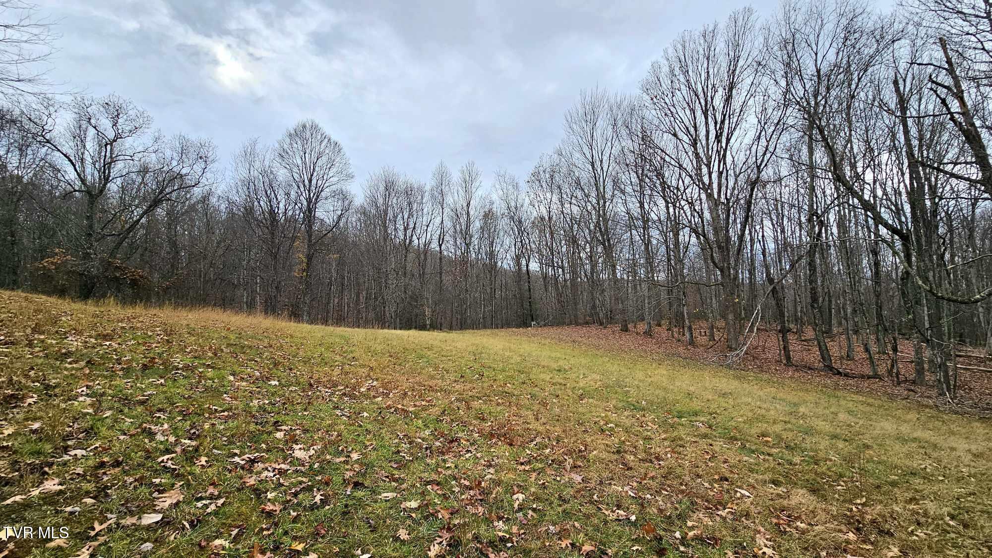 3539 Stone Mountain Road, Coeburn, Virginia image 2
