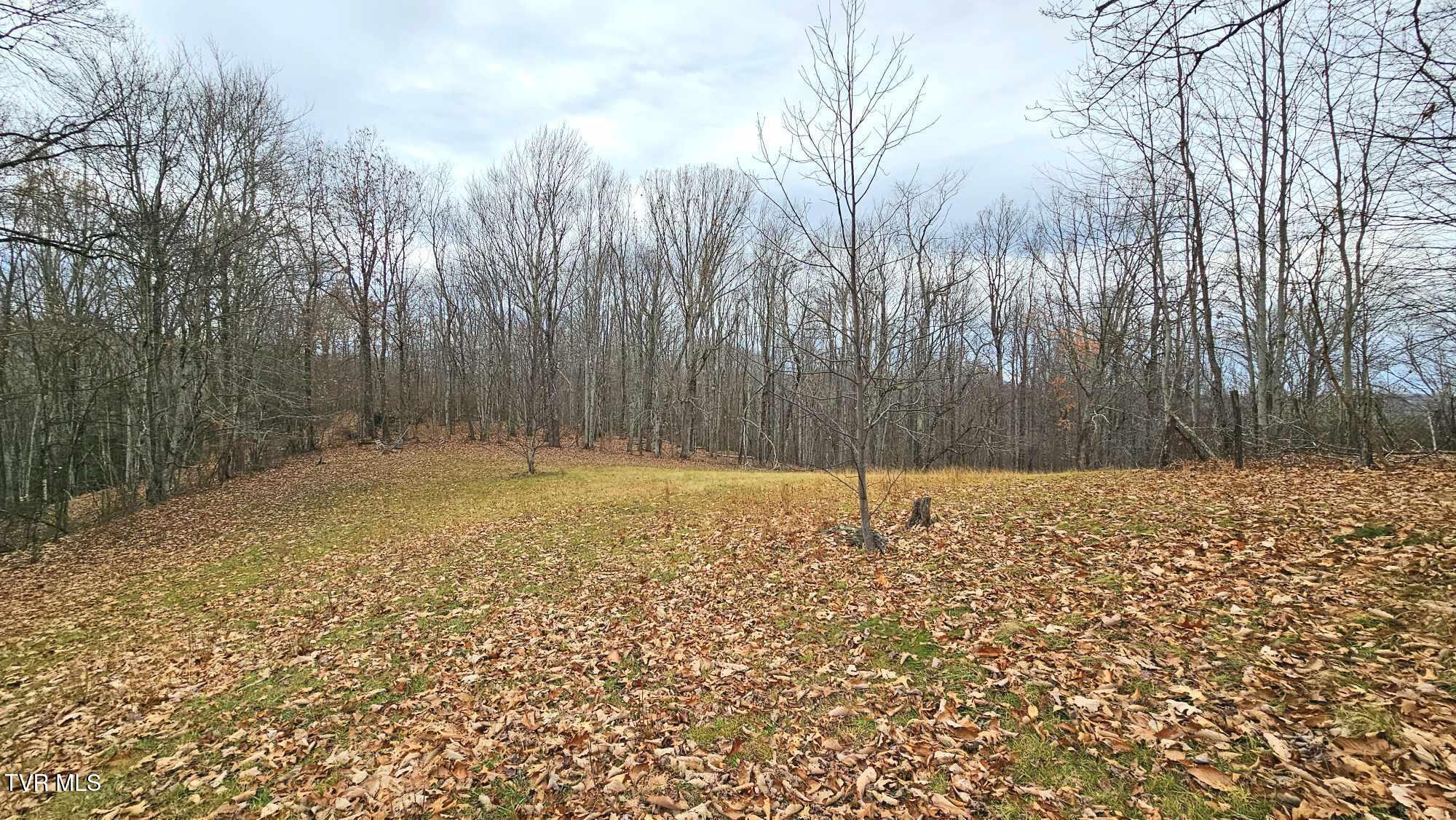 3539 Stone Mountain Road, Coeburn, Virginia image 7