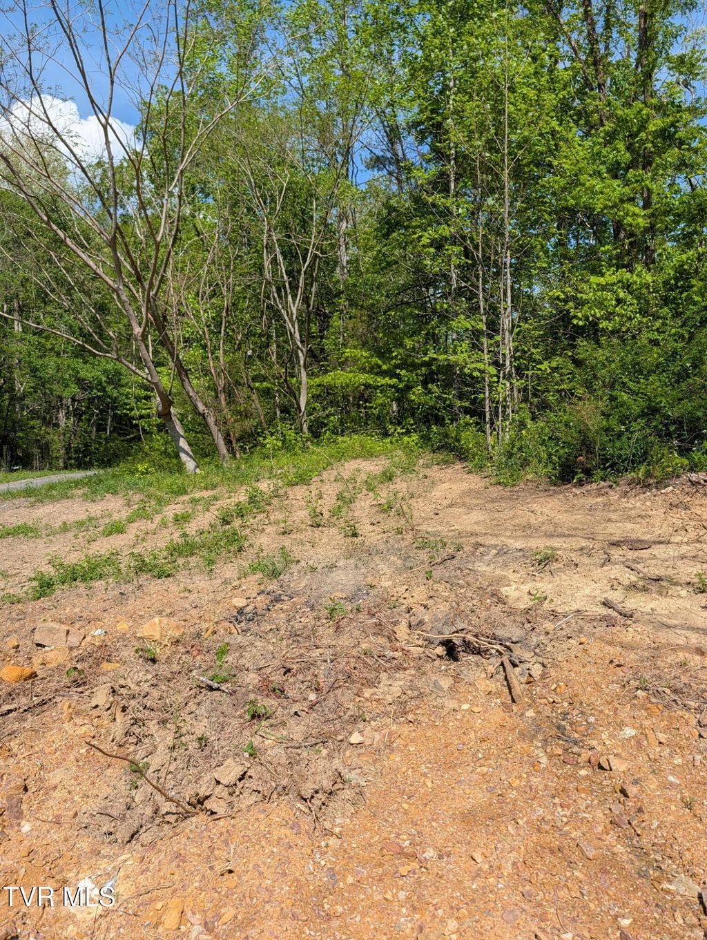 Photo of 523 Sulphur Springs Road, Rogersville, TN 37857 (MLS # 9994970)