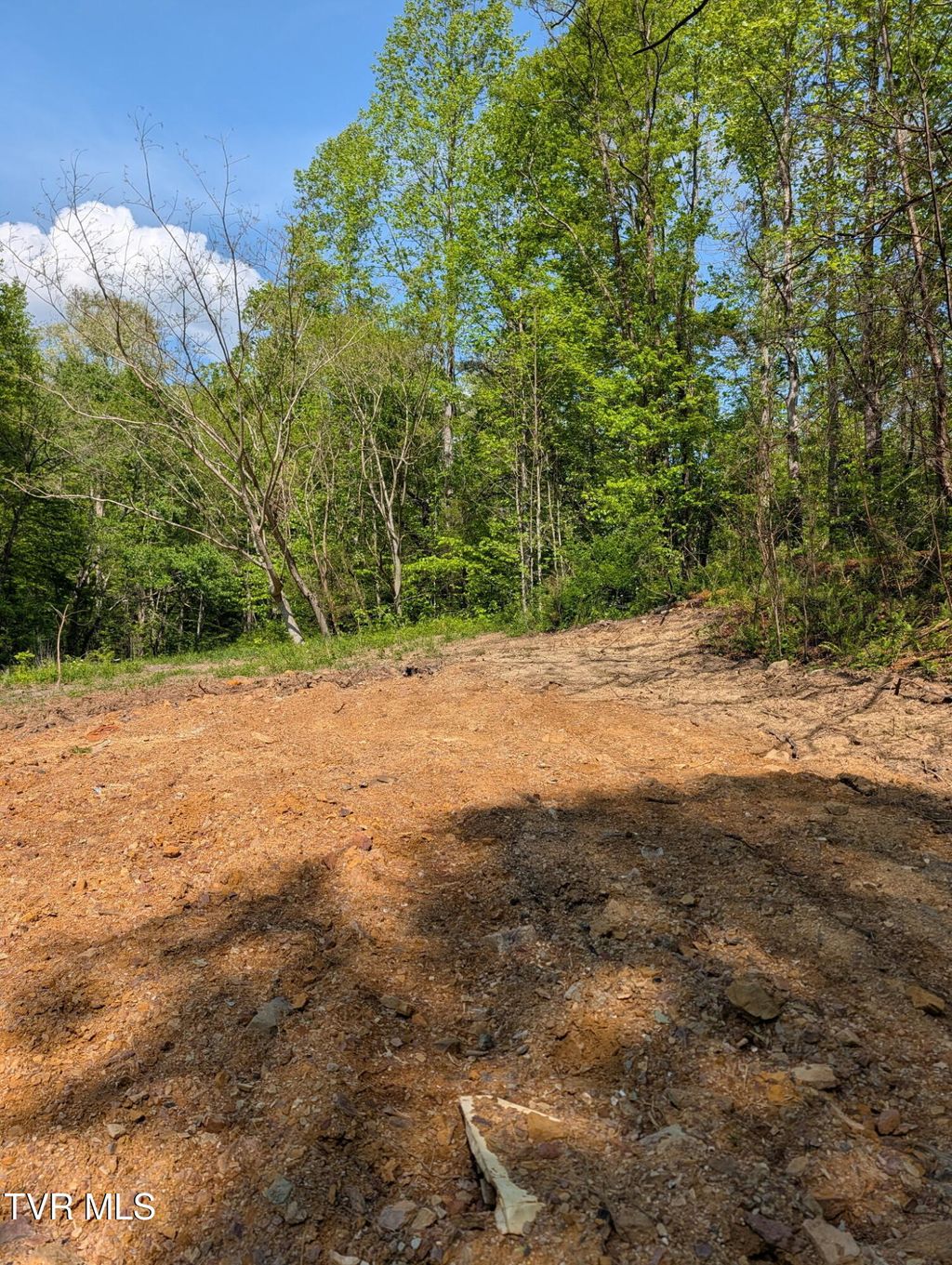 Photo of 523 Sulphur Springs Road, Rogersville, TN 37857 (MLS # 9994970)