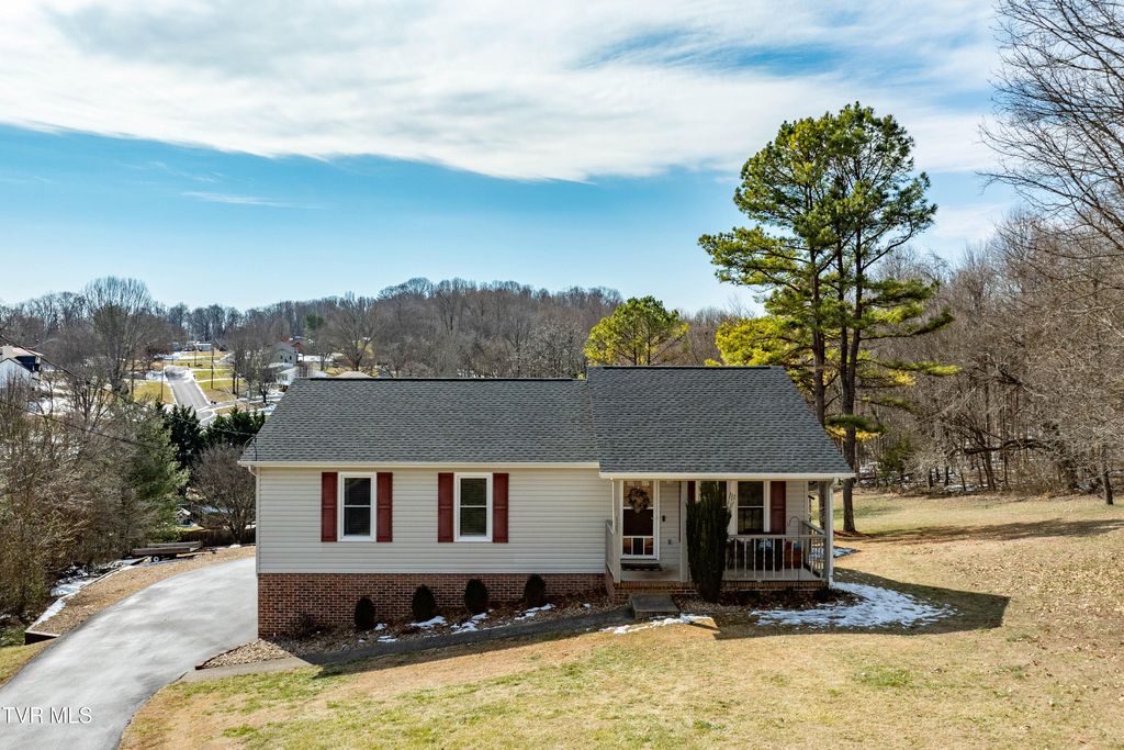 Photo of 125 Rosebud Lane, Gray, TN 37615 (MLS # 9991039)