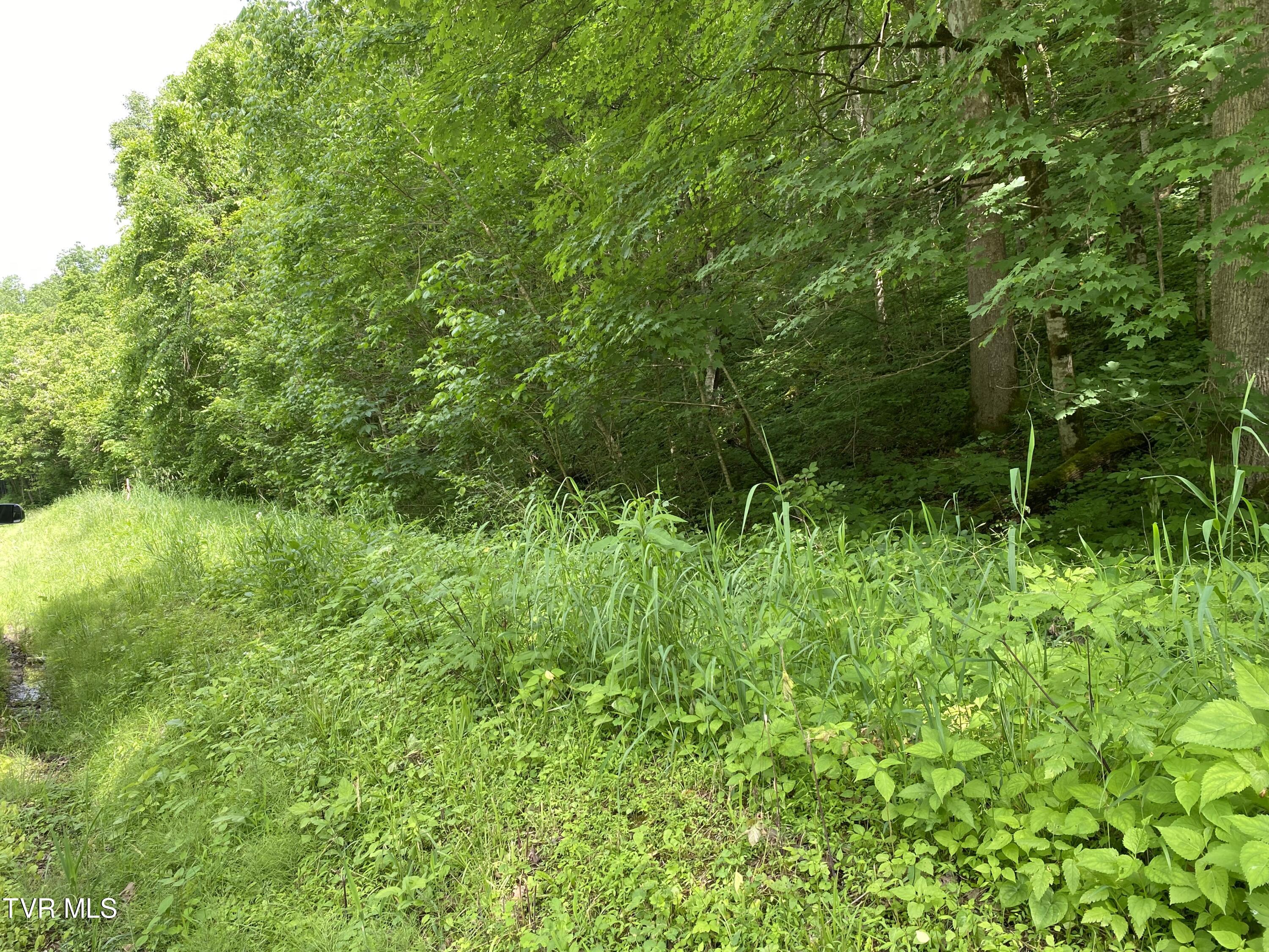 Tbd Horton Ford Road, Eidson, Tennessee image 6