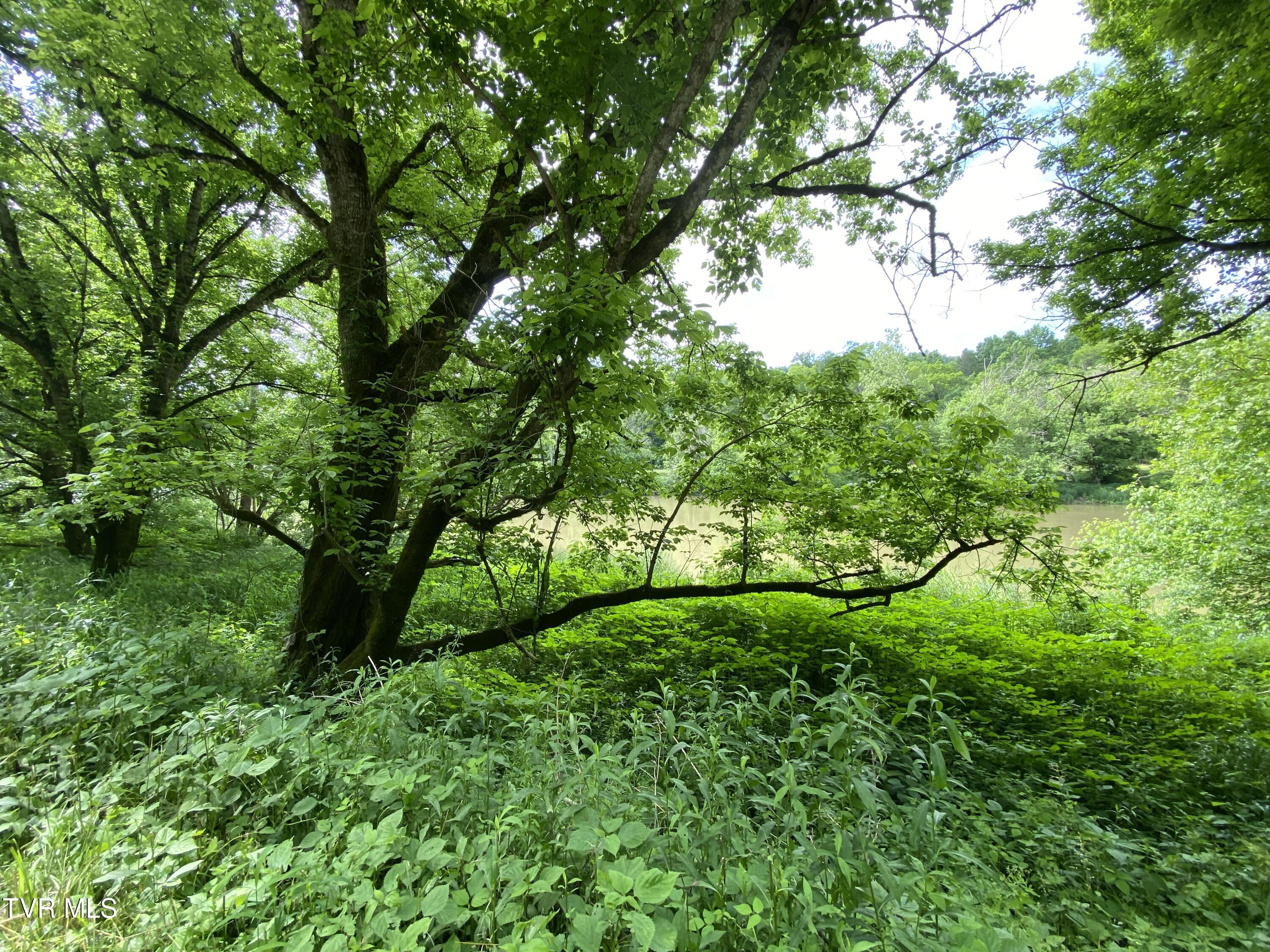 Tbd Horton Ford Road, Eidson, Tennessee image 18