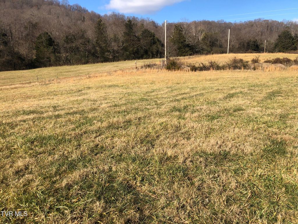 Photo of 1390 Babbs Mill Road, Afton, TN 37616 (MLS # 9989272)