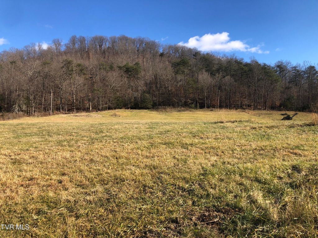 Photo of 1390 Babbs Mill Road, Afton, TN 37616 (MLS # 9989272)