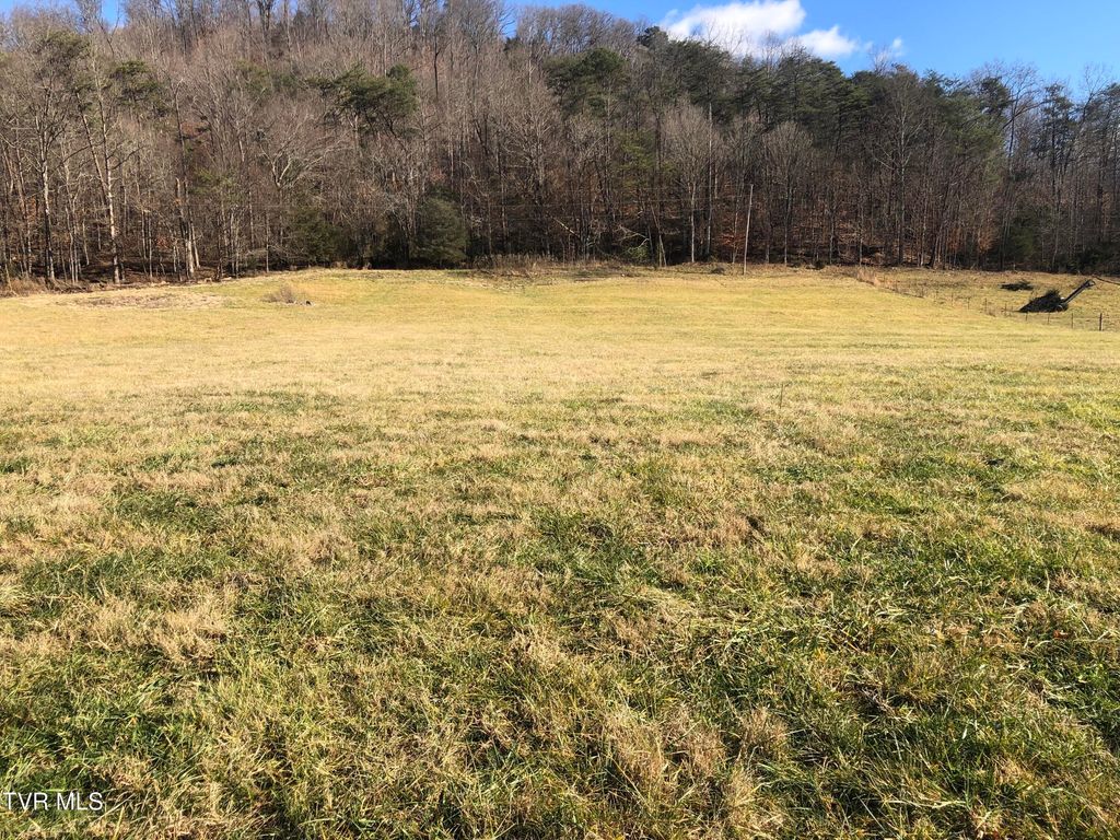 Photo of 1390 Babbs Mill Road, Afton, TN 37616 (MLS # 9989272)