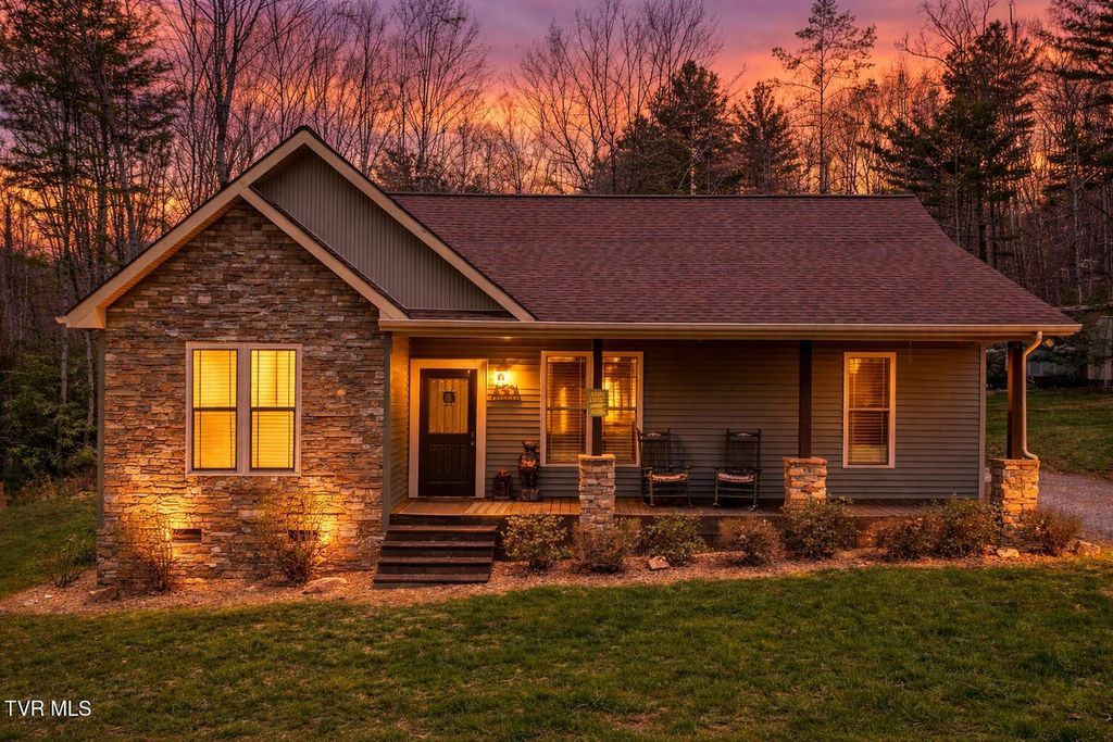 Photo of 289 Myrtle Drive, Butler, TN 37640 (MLS # 9993639)