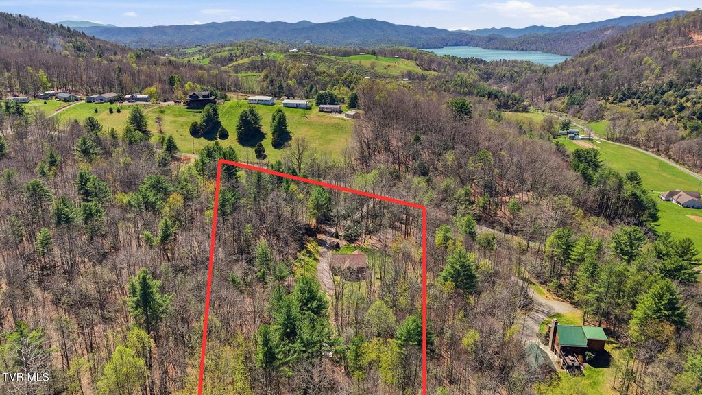 Photo of 289 Myrtle Drive, Butler, TN 37640 (MLS # 9993639)