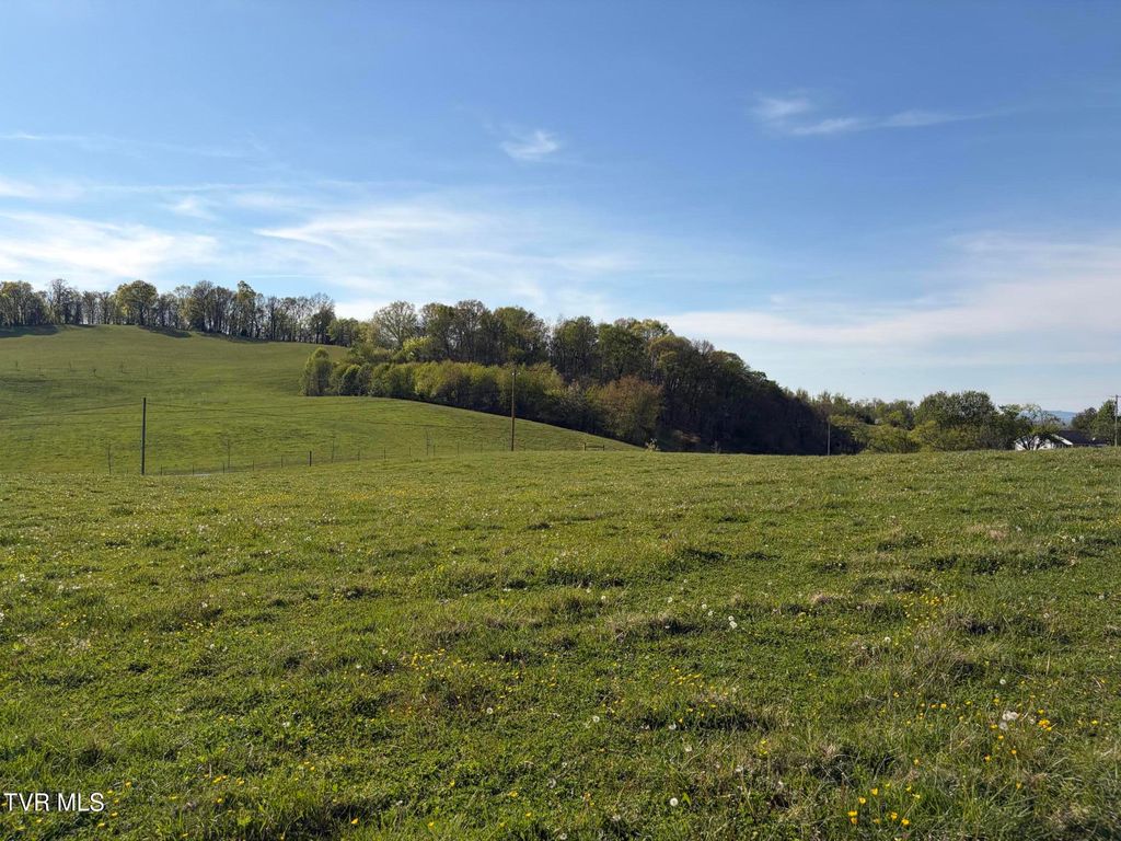Photo of 1 Washington College Road, Limestone, TN 37681 (MLS # 9993775)