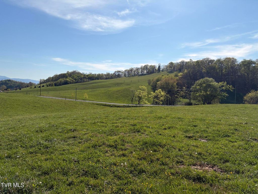 Photo of 1 Washington College Road, Limestone, TN 37681 (MLS # 9993775)