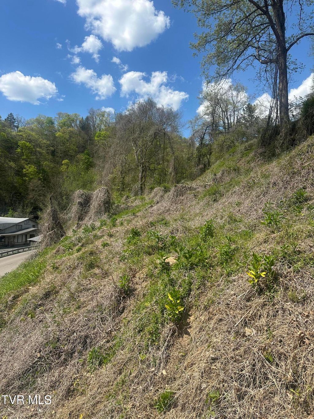 Photo of Tbd Dante Mountain Road, McClure, VA 62957 (MLS # 9995990)
