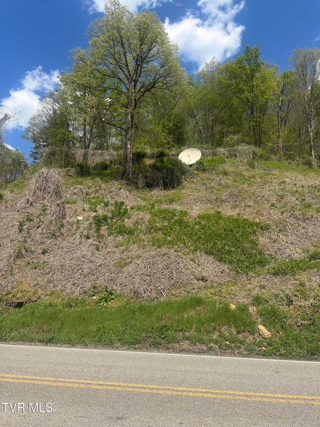 Photo of Tbd Dante Mountain Road, McClure, VA 62957 (MLS # 9995990)