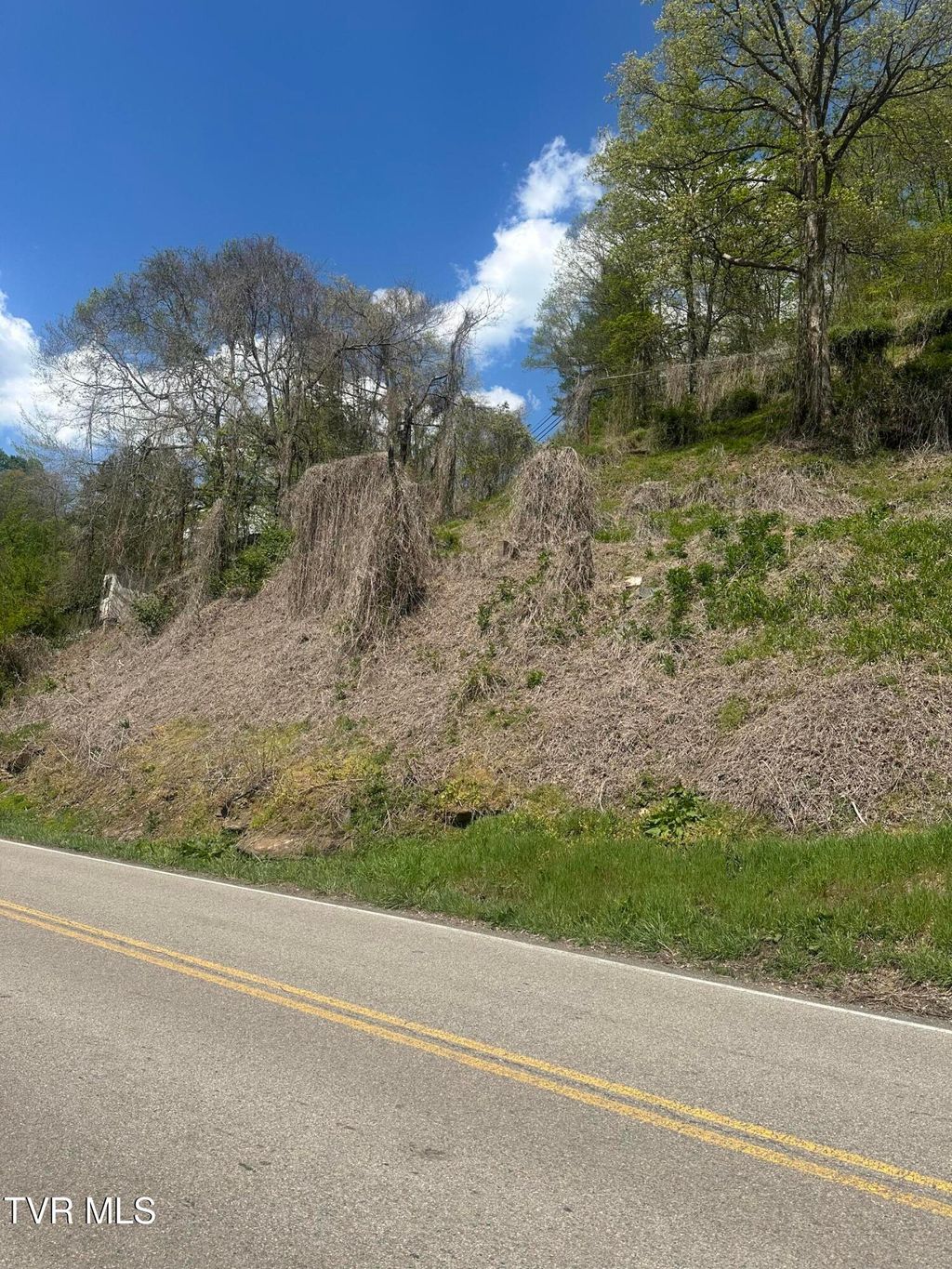 Photo of Tbd Dante Mountain Road, McClure, VA 62957 (MLS # 9995990)
