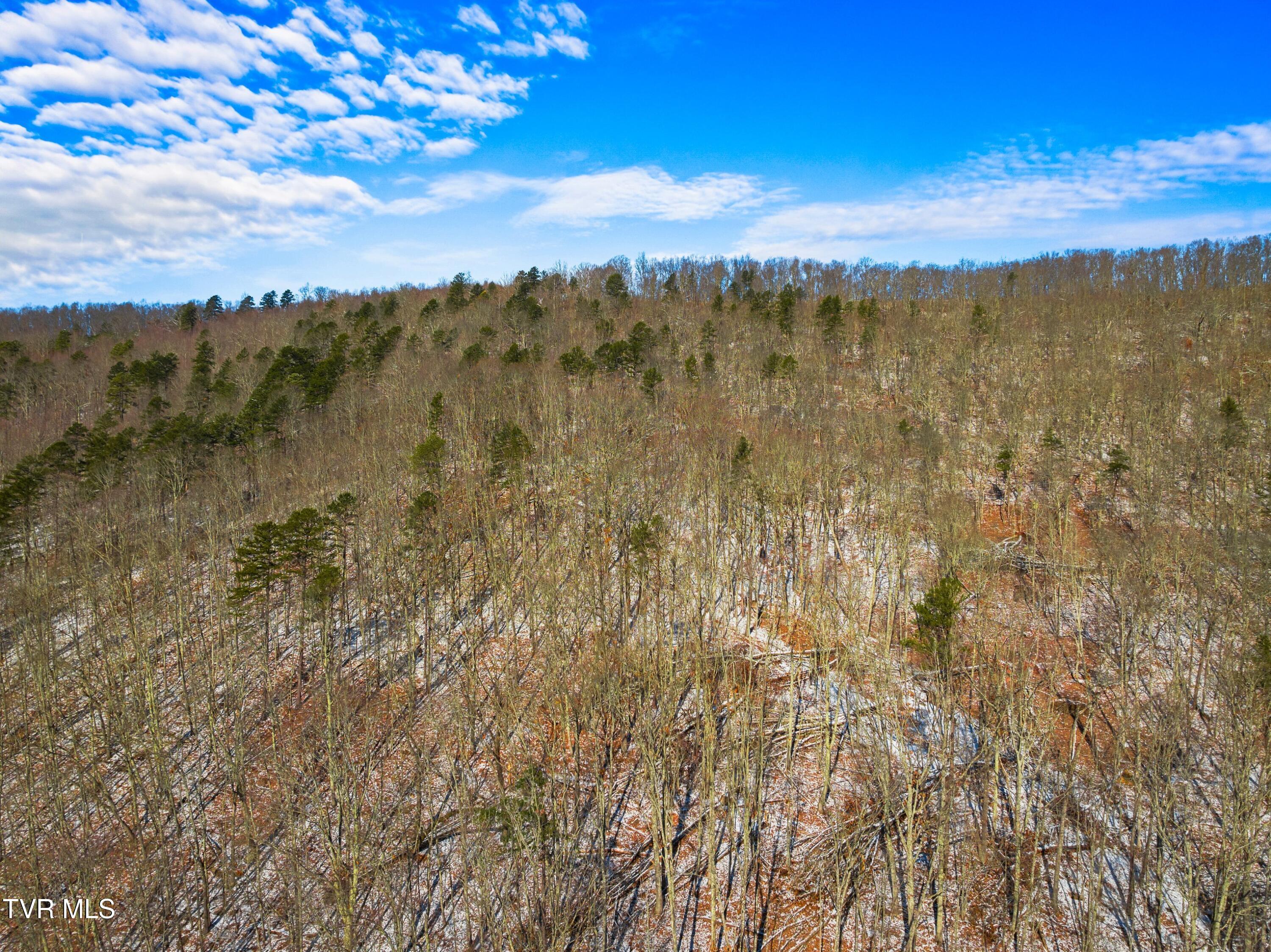 1231 Vardy Blackwater Rd, Sneedville, Tennessee image 42