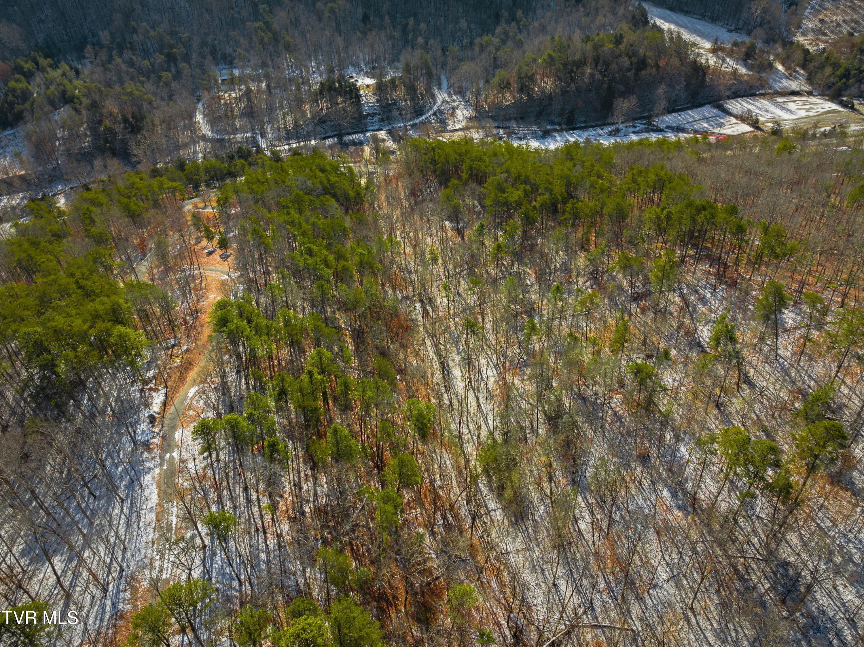 1231 Vardy Blackwater Rd, Sneedville, Tennessee image 38