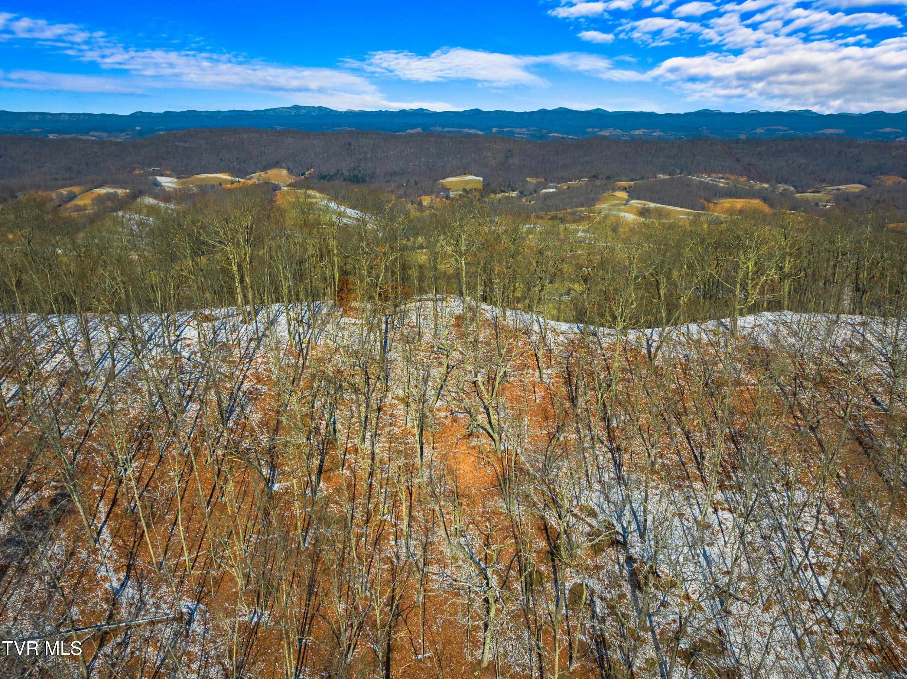 1231 Vardy Blackwater Rd, Sneedville, Tennessee image 43