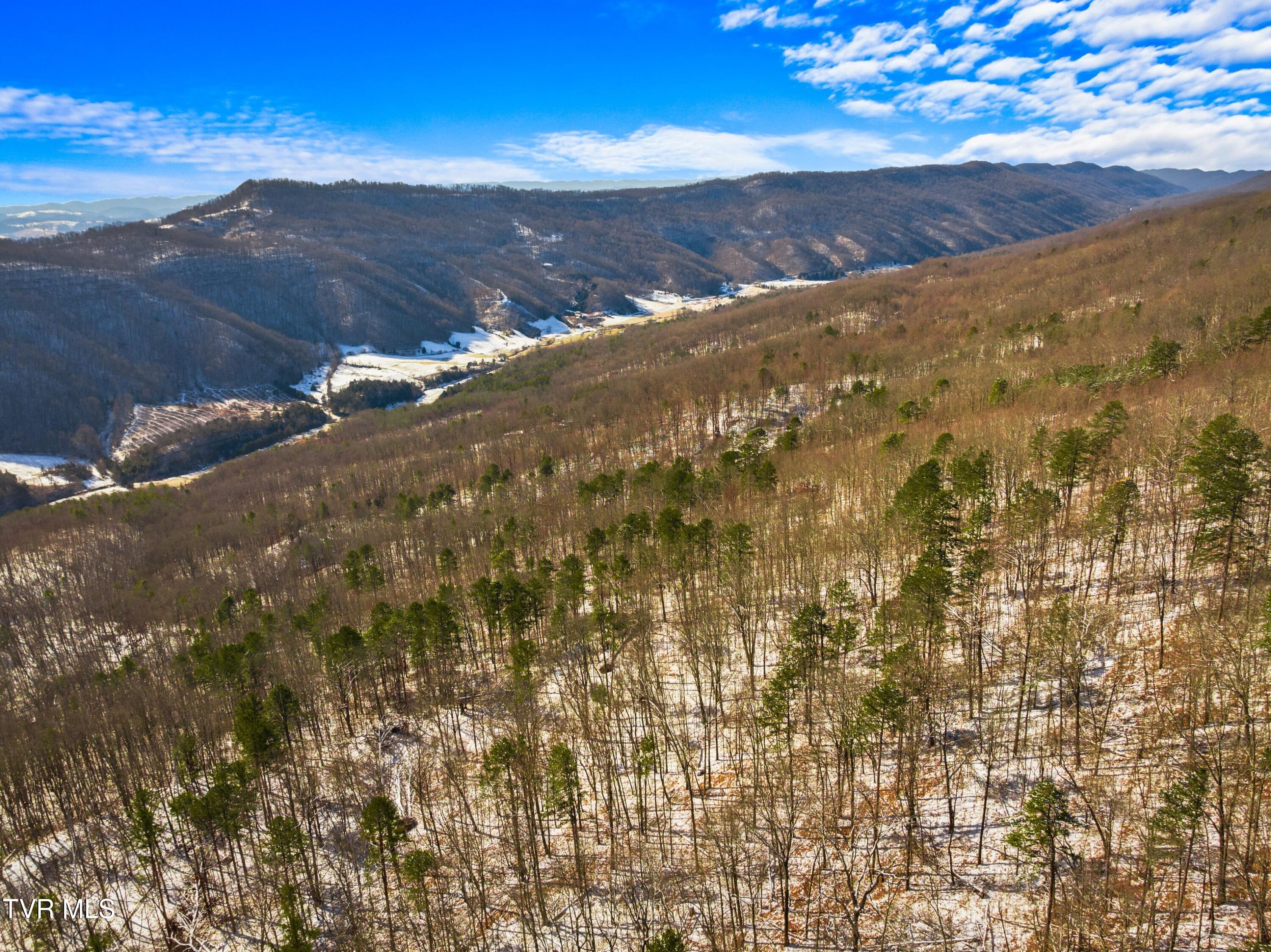 1231 Vardy Blackwater Rd, Sneedville, Tennessee image 47