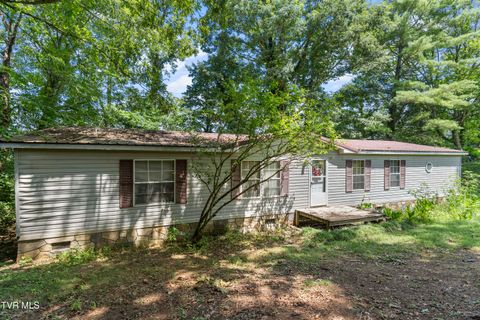 Homes For Sale - 55 Short Rd<br/> Limestone, TN 37681