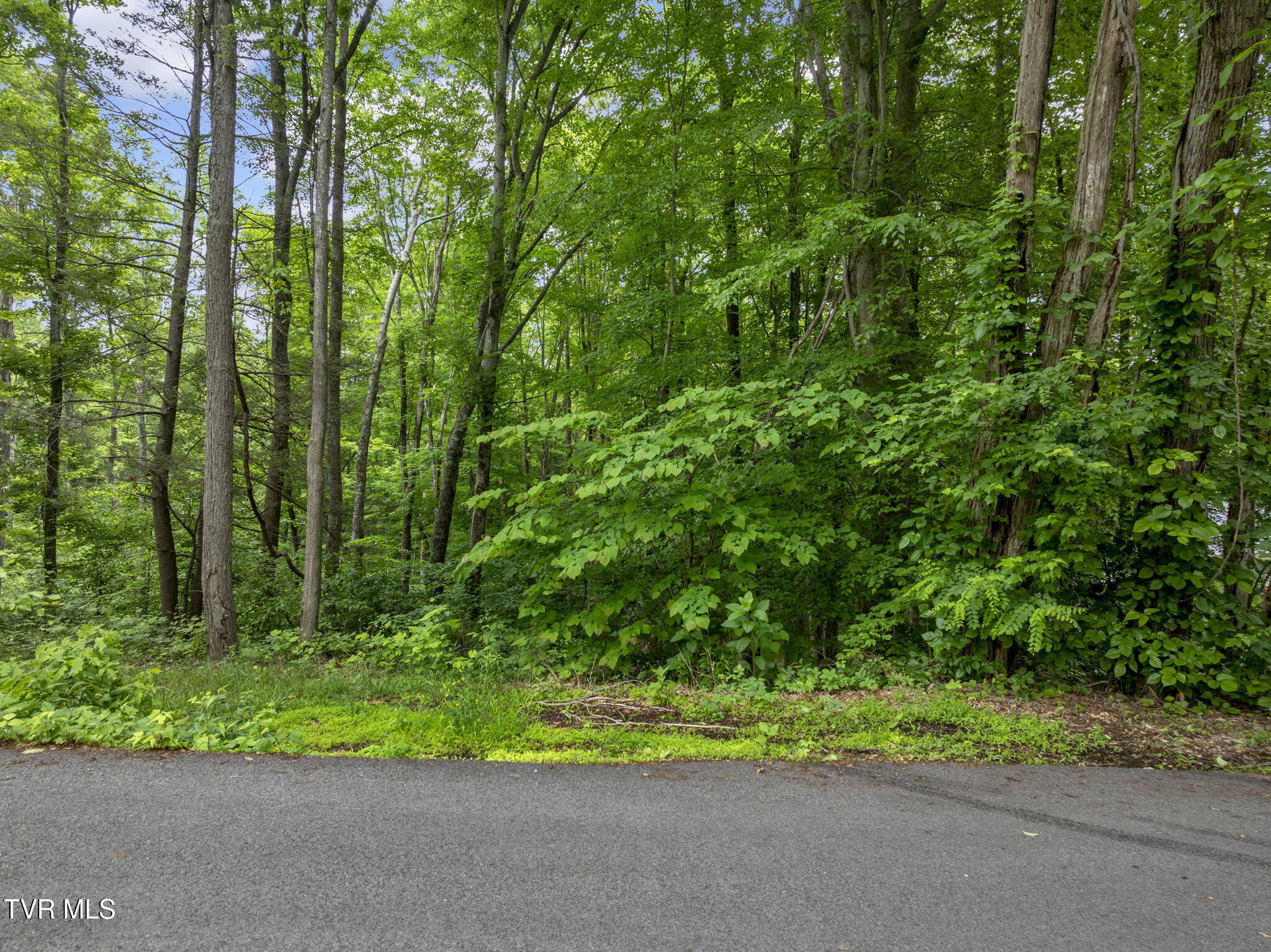 Tbd Water Tank Hill Road, Johnson City, Tennessee image 6