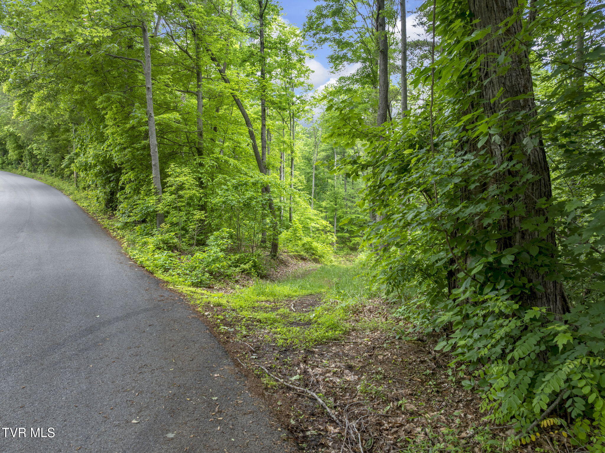 Tbd Water Tank Hill Road, Johnson City, Tennessee image 7
