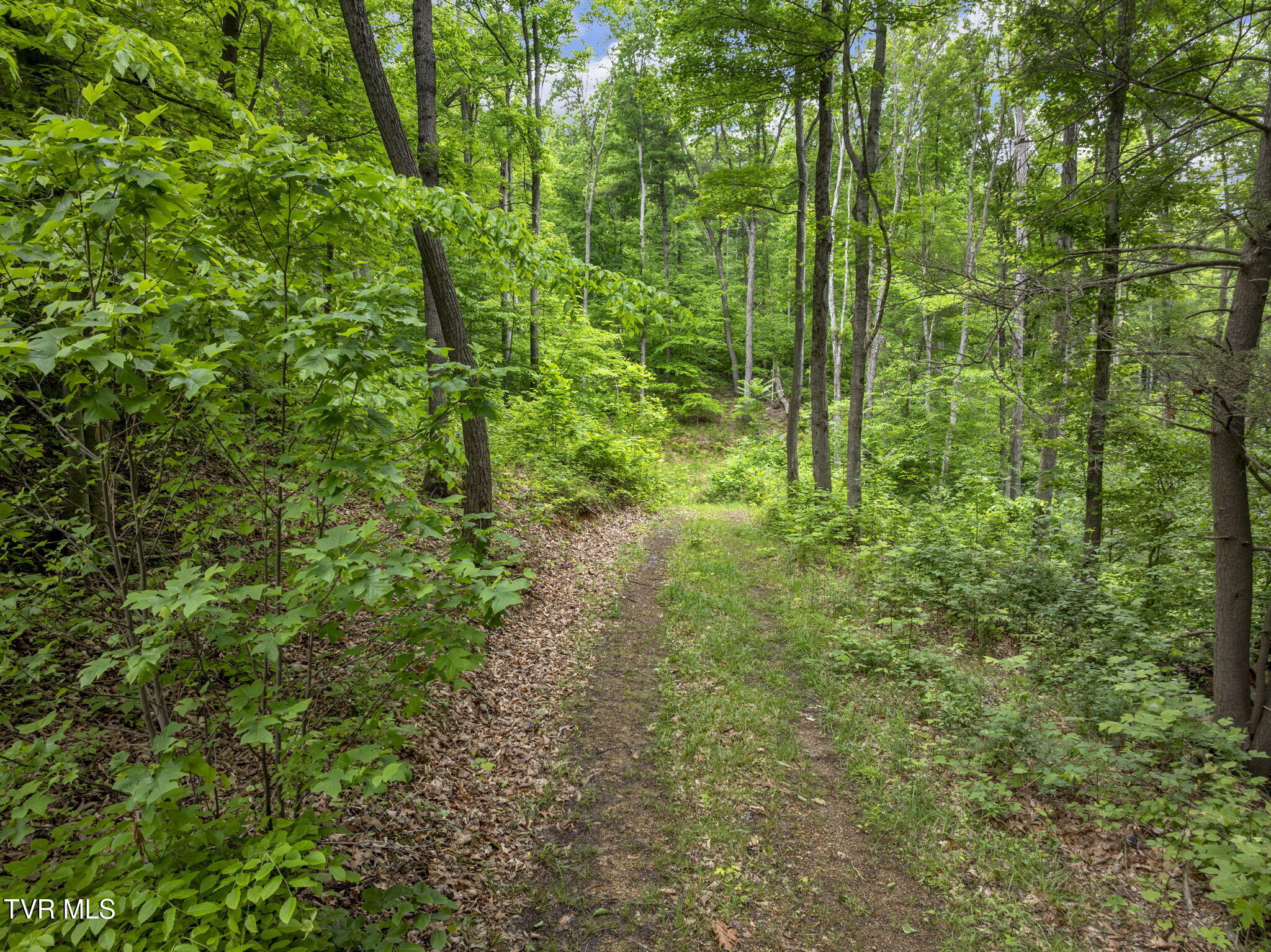 Tbd Water Tank Hill Road, Johnson City, Tennessee image 9