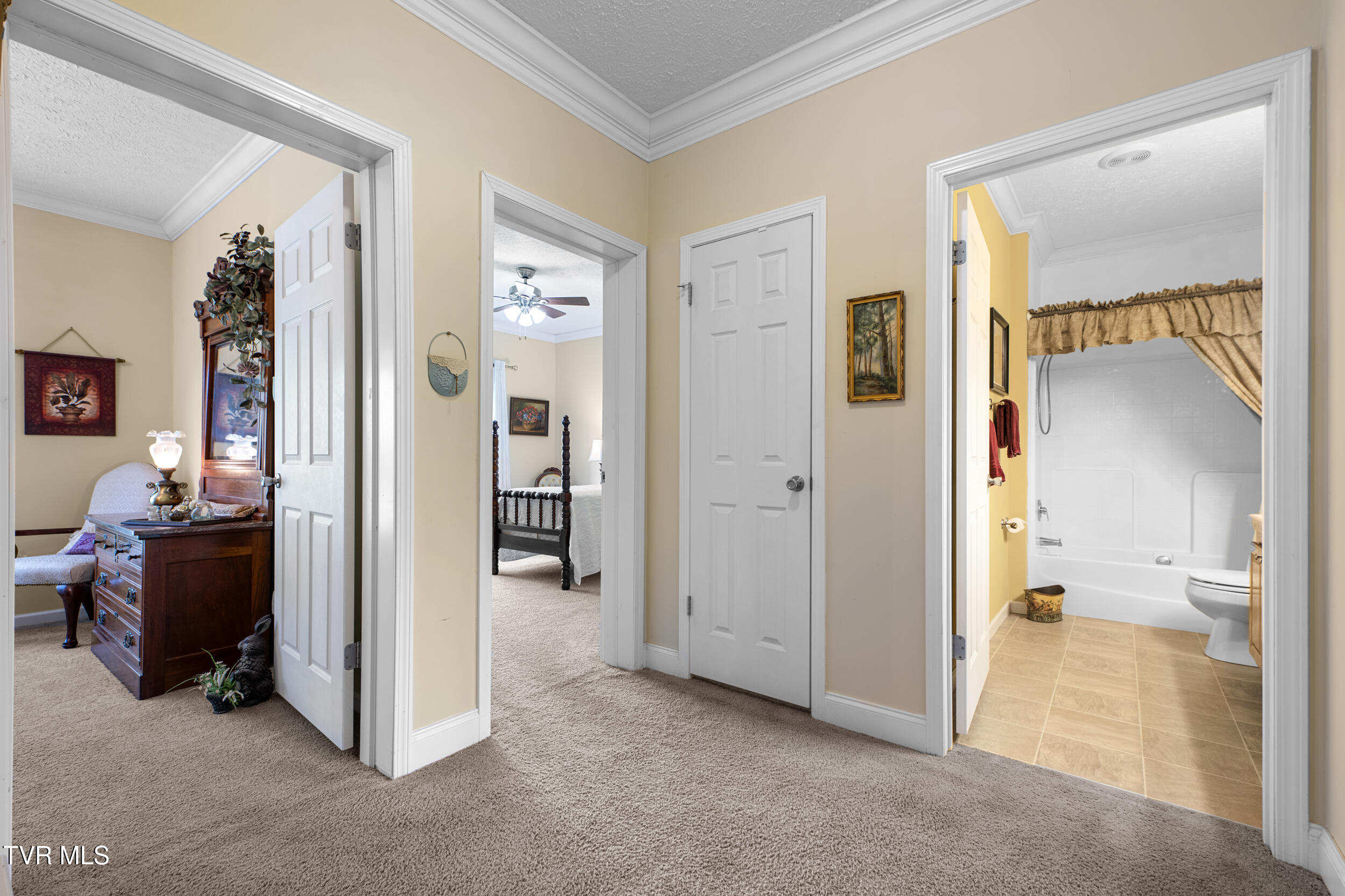 261 Adams Road, Mountain City, Tennessee image 20