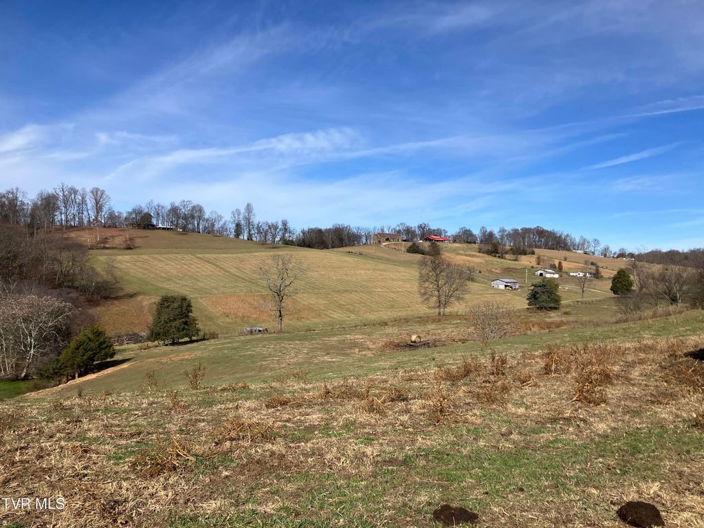 Photo of Tbd Methodist Ridge Road Road, Telford, TN 37690 (MLS # 9988690)
