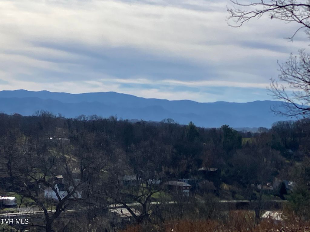 Photo of Tbd Methodist Ridge Road Road, Telford, TN 37690 (MLS # 9988690)