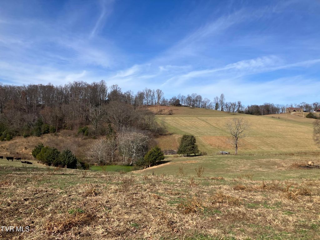 Photo of Tbd Methodist Ridge Road Road, Telford, TN 37690 (MLS # 9988690)
