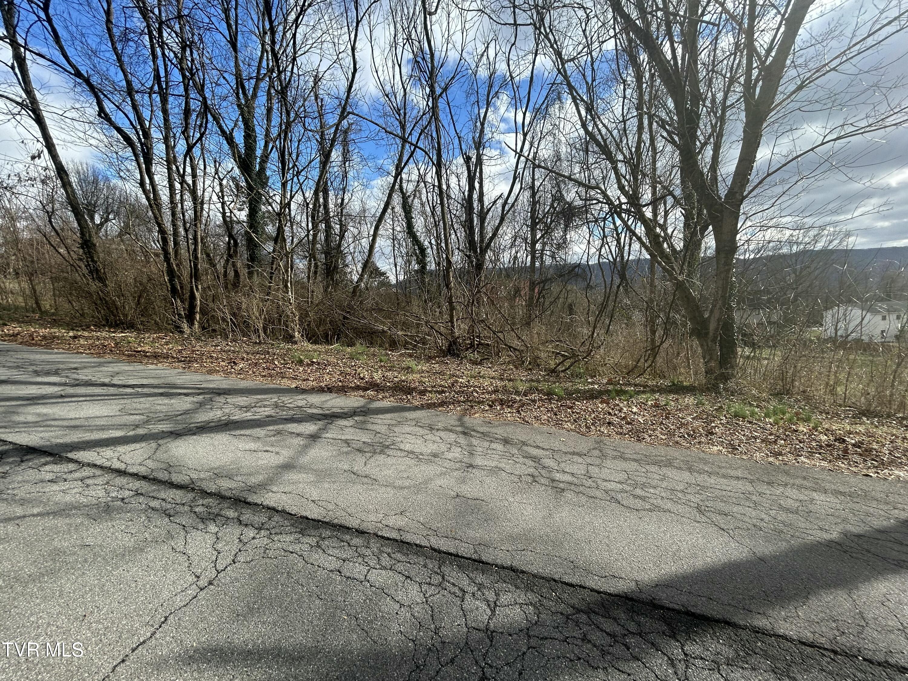 Jennings Drive, Kingsport, Tennessee image 6