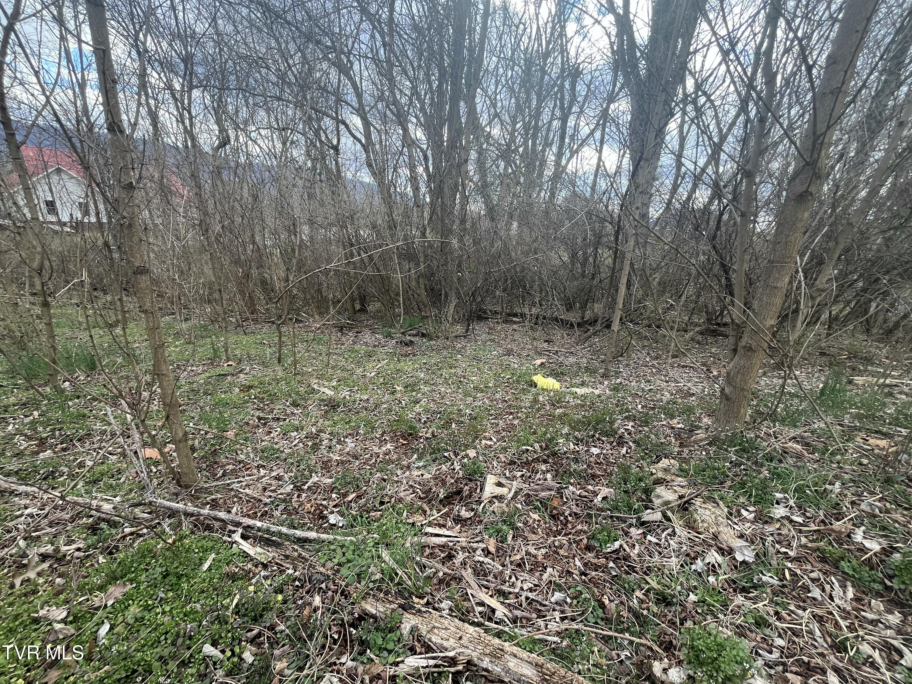 Jennings Drive, Kingsport, Tennessee image 2